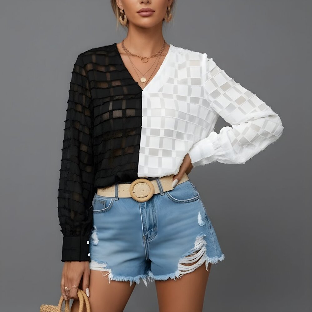 Black And White Sheer Neck V Blouse - Picture 1 of 6